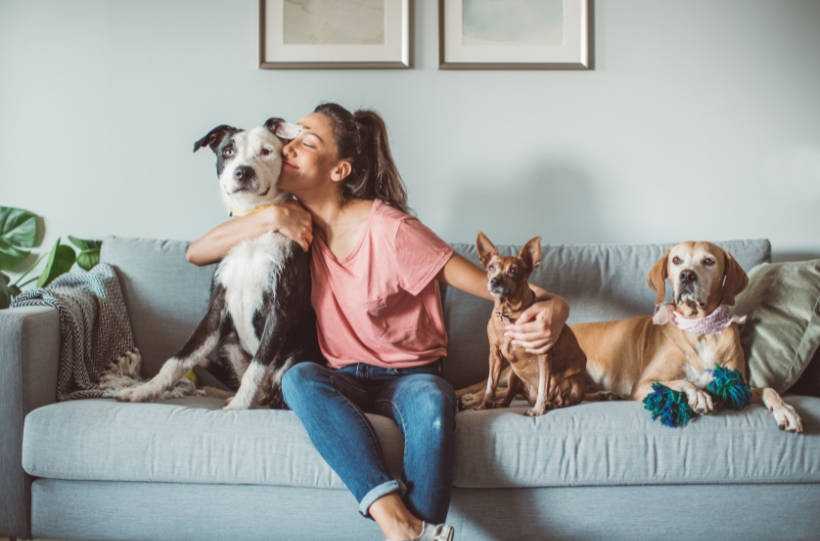 Pet owner organizing essential supplies