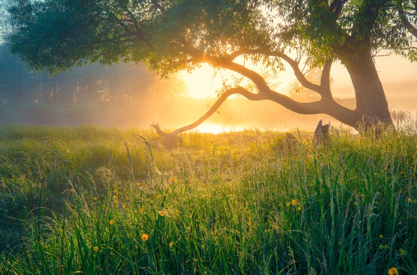 Outdoor Hiking through Majestic Landscapes